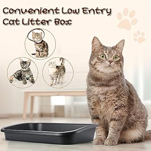 Uiifan 3 Pcs Low Entry Senior Cat Litter Box Large Size Pet Litter Box Low Entry Open Top Cat Litter Box for Senior Kitten Frail Handicap Disabled Older Elderly Cats, Easy to Clean (Dark Gray)