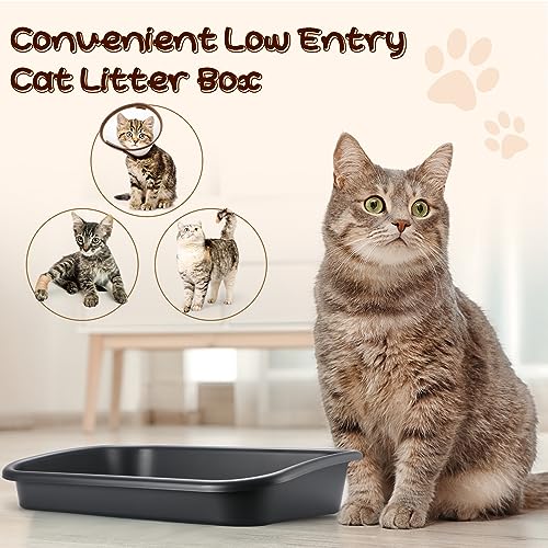Uiifan 3 Pcs Low Entry Senior Cat Litter Box Large Size Pet Litter Box Low Entry Open Top Cat Litter Box for Senior Kitten Frail Handicap Disabled Older Elderly Cats, Easy to Clean (Dark Gray) Uiifan 3 Pcs Low Entry Senior Cat Litter Box Large Size Pet Litter Box Low Entry Open Top Cat Litter Box for Senior Kitten Frail Handicap Disabled Older Elderly Cats, Easy to Clean (Dark Gray)