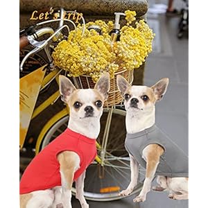 Dog Blank Quick Dry Shirtslightweight Stretchy Summer Solid Dogs Cats Clothessleeveless Cool Sweater for Small Boy Girl Breedredgreyxs  Cucciolini Doodles Dog blank quick dry shirtslightweight stretchy summer solid dogs cats clothessleeveless cool sweater for small boy girl breedredgreyxs   cucciolini doodles