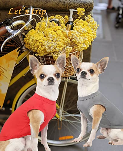 Dog Blank Quick Dry Shirtslightweight Stretchy Summer Solid Dogs Cats Clothessleeveless Cool Sweater for Small Boy Girl Breedredgreyxs  Cucciolini Doodles Dog blank quick dry shirtslightweight stretchy summer solid dogs cats clothessleeveless cool sweater for small boy girl breedredgreyxs   cucciolini doodles