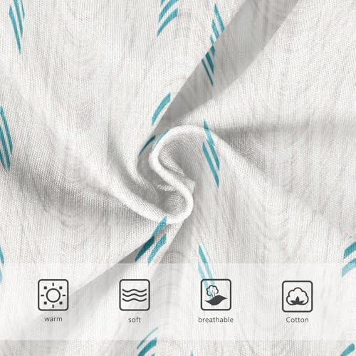 Cotton Panties Panties Training Comfort Underwear for Kid in Sizes 2T,3T, 4T, 5T, 6Y and 8Y3