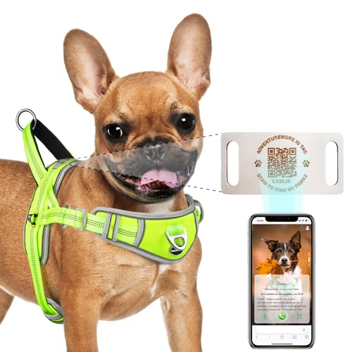 ADVENTUREMORE Dog Harness Small Dog No Pull with QR Code Dog Tag, Adjustable Reflective Dog Vest Escape Proof Dog Harness Smart ID Tag with Easy Control Front Clip Handle for Walking S Green