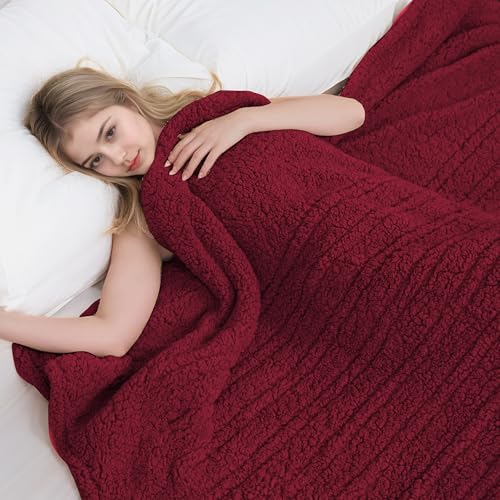 Eydna Electric Heated Blanket Throw Size 50"×60" with 9 Heating Levels & 1-10 Hs auto Off, Heating Throw Double Sided Sherpa, Energy Efficient, Machine Washable, for Couch & Office, Red