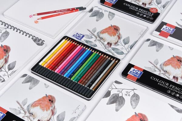 Oxford Art Bloc de dibujo, papel reciclable sin ácidos (bloc de dibujo A4, 40 hojas de 160 g/m², 5)