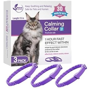4 Pcs Calming Collar for Cats Cat Pheromone Calming Collar Stress (Purple)