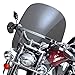 National Cycle SwitchBlade Two Up Windshield - Clear N21107