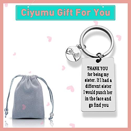 Sister Keyring Sister Gifts from Sister Keychain for Women Girls Birthday Christmas Valentines Presents for Sister Presents from Brother Sister, Soul Sister Gift,Step Sister Gift,Sister-in-Law Gift