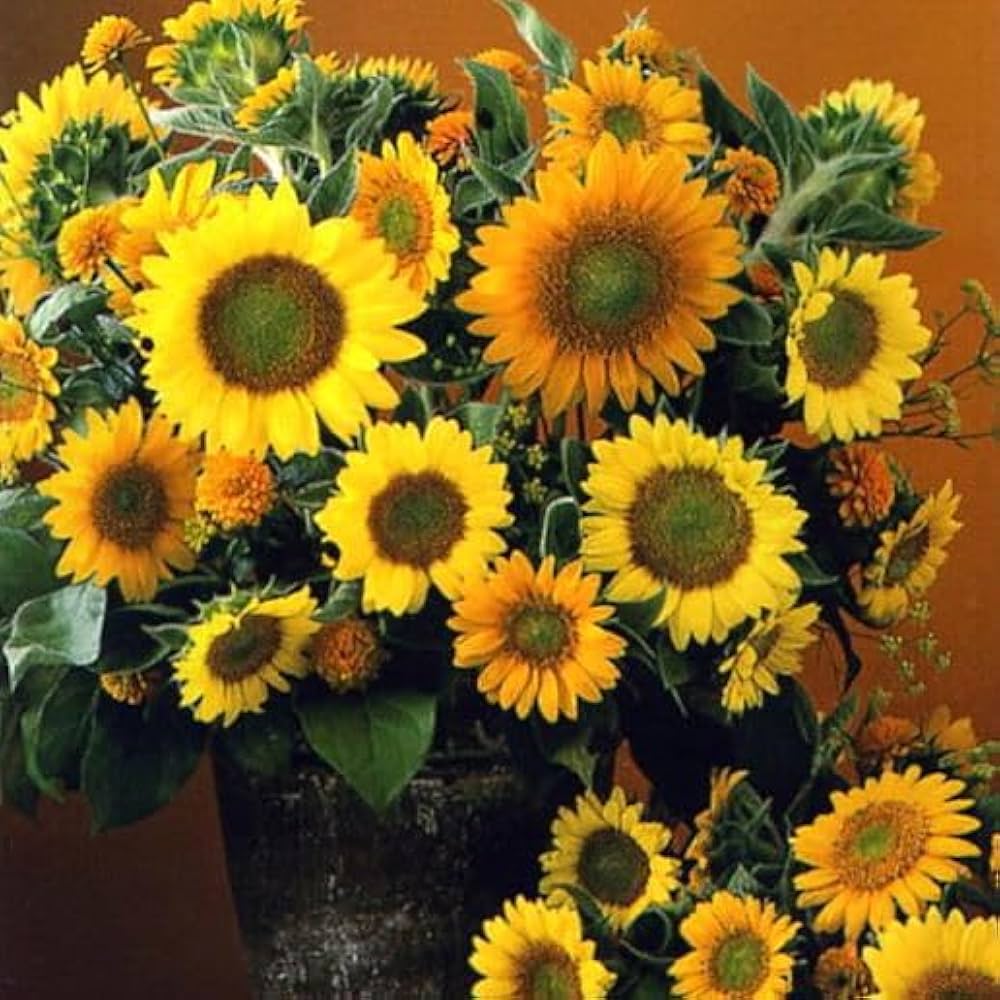 【Y】2点　ひまわり様 000000121334-01-l.jpg?t=