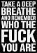 AimQurt Take A Deep Breathe and Remember Who The Fuck You are Aluminum Signs Funny Tin Sign Metal Art Poster Gift Home Cafe Bar Wall Decor Room Door Accessories 12""X16"", style-6