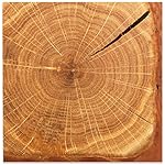 CC HOME Wood Grain Birthday Paper Plates Napkins Natural Solid Wooden Disposable Tableware Set Party Supplies Wood Grain Theme Dinnerware Cutlery Sets Serves 24 Guests 88PCS - Image 3