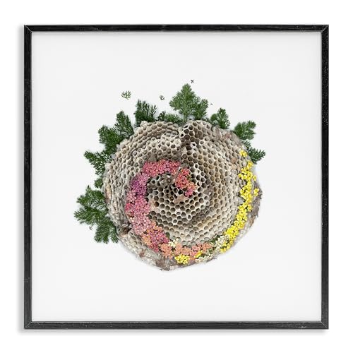 'Honeycomb with Botanicals'| Framed Giclee Art