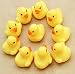 Doinshop Brand NEW One Dozen (12) Rubber Duck Ducky Duckie Baby Shower Birthday Party Favors