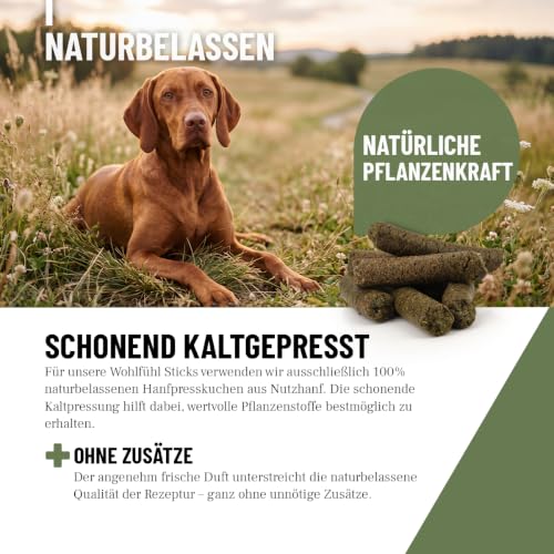 ReaVET Hunde Leckerlis mit Hanf 400g, Wohlfühl Sticks - Natürliche Beruhigung & Entspannung bei Angst oder Stress - Hundeleckerlis, Hundekekse aus Hanfpresskuchen getreidefrei & naturbelassen