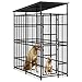 BARULUOAKLIFE Black Powder-Coated Steel Outdoor Dog Kennel 19.8 sq ft Durable Weatherproof Shelter with Escape-Proof Latches Spacious Interior for Pet Safety and Security