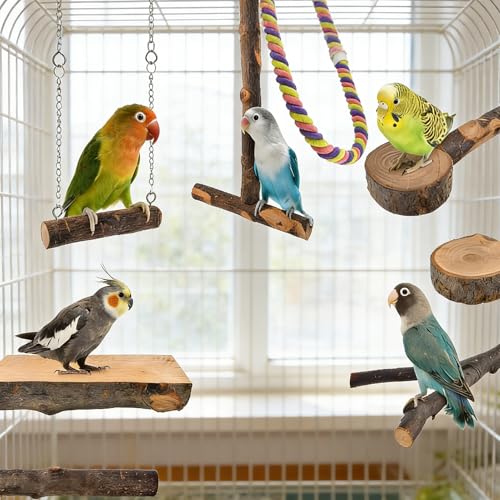 Perchoir à oiseaux en bois : la solution idéale contre l'ennui de vos calopsittes - 4