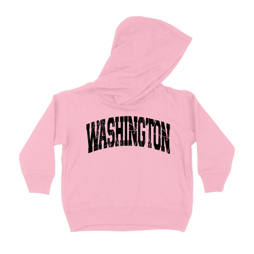Distressed Washington Collegiate Kids Hoodie Sweatshirt Toddler 4T Light Pink