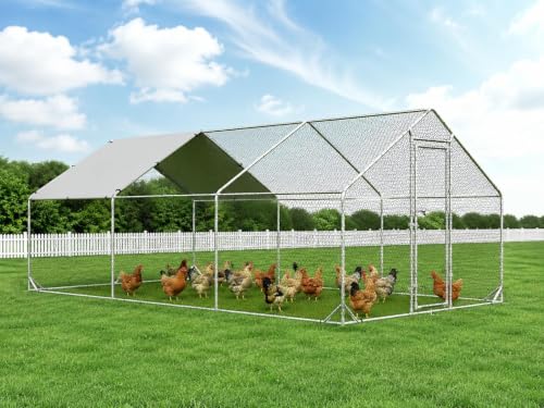 4ever2buy Walk-in Chicken Run