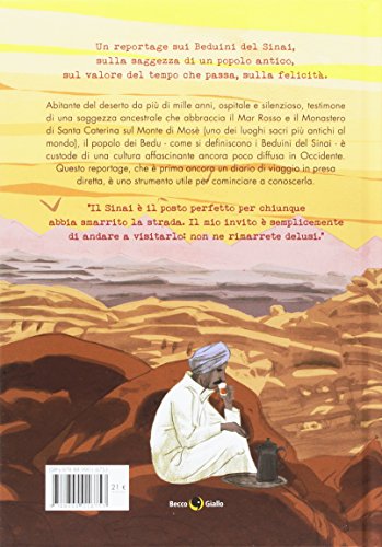 Sinai. la terra illuminata dalla luna