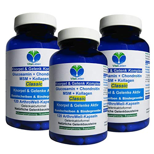 Knorpel & Gelenke Komplex Classic 360 (3x120) ArthroWell Gelenk-Kapseln - Natürliche Gelenkbausteine Glucosamin + Chondroitin + MSM + Kollagen. 26440-3