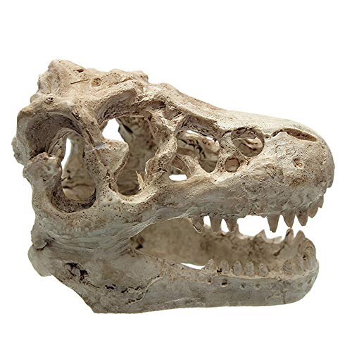Decoración de acuario de Halloween Esqueleto Agujero Resina Dinosaurio artificial Cráneo Esqueleto Ornamento - Tanque de peces Cráneo Acuario Decoraciones cueva Paisajes Mascota Reptil Casa