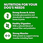 IAMS Proactive Health Large Breed Adult Dry Dog Food Lamb & Rice Recipe, 30 lb. Bag - Image 4