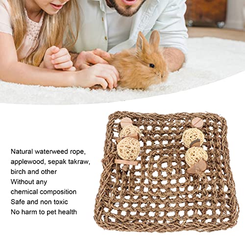 Gsycle Woven Pet Seagrass Mat - Image 4