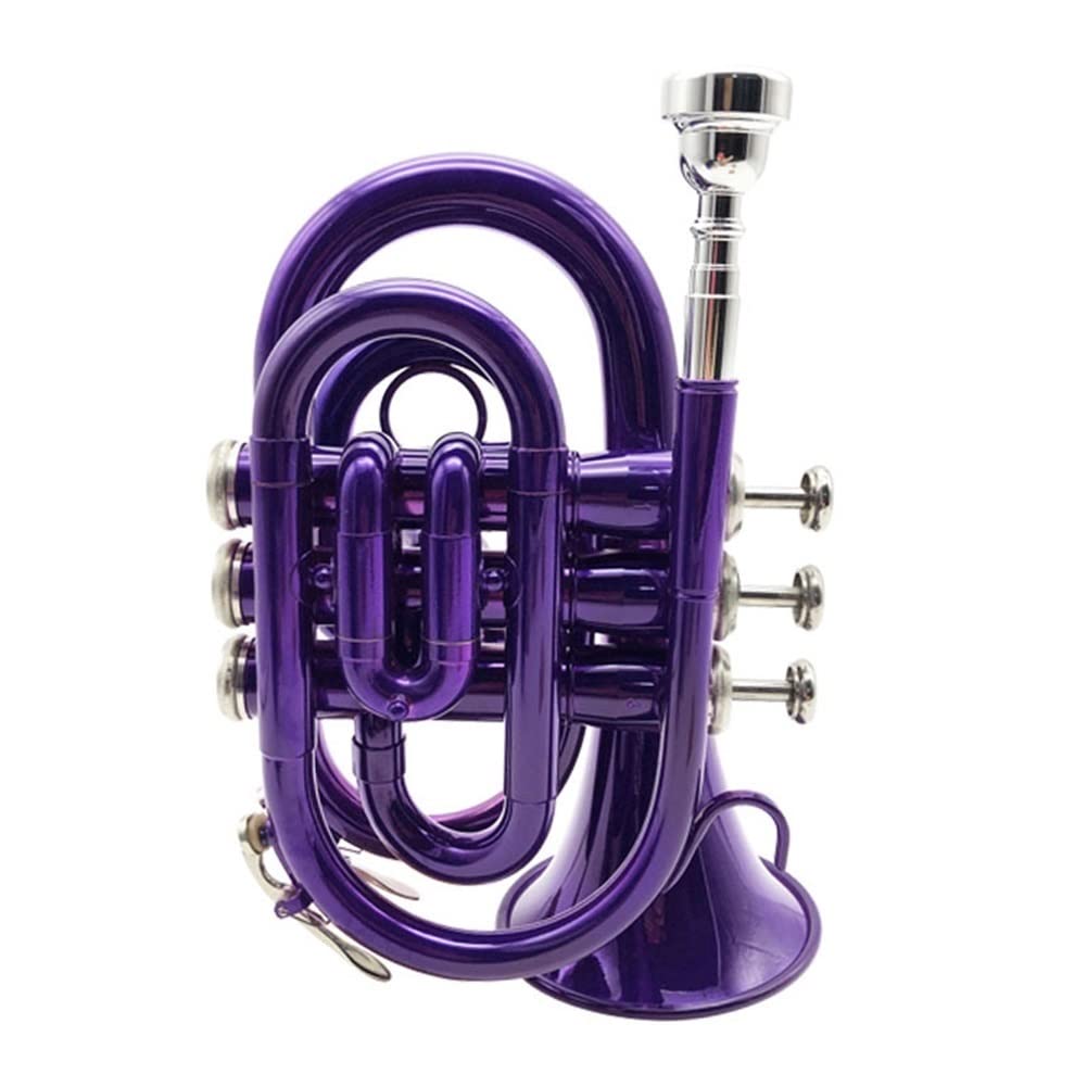 Hdynuz Purple Bb Flat Cornet Brass Wind Instrument Pocket Cornet With Mouthpiece Gloves Cleaning Cloth Carrying Case (Size : )
