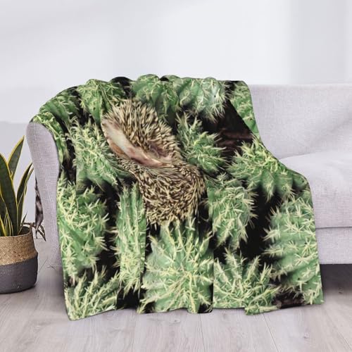 Couverture lit légère confortable microfibre douce EdWal - 6
