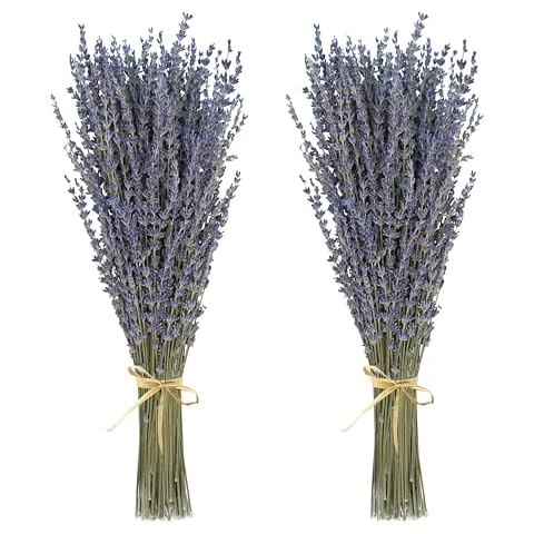 Dried Lavender 2 Bunches 100% Fresh Natural Purple Bouquet Flowers for Bathroom Photo Props Crafts Decoration, 15-17" for Shower Weeding Vase Decor, Aromatherapy Home Fragrance (2 Bunches) Cover