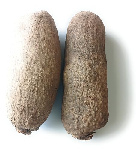 New Fresh Ghana Yam, 7 to 8 lb 2 tubers (Note Item Sold by Weight) NEW YAM