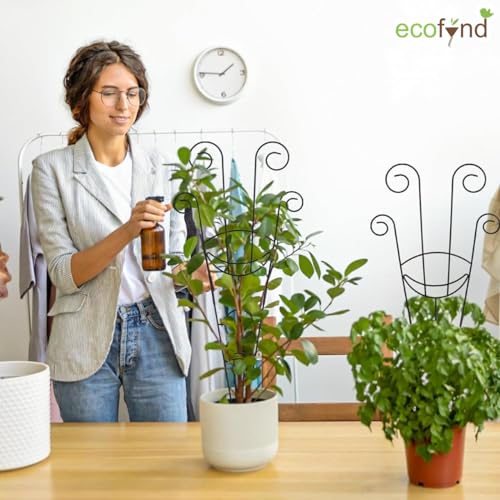 Image of ecofynd 32 inches Metal Trellis for Plants, Different Patterns Stem Flower Plant Support, Garden Climbing Plant Trellis for Outdoor Amaryllis Orchid Lily Rose (1 Pack, BLK, TR017)
