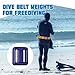 Tellegloww 4 Pcs Dive Weights Belt for Scuba Diving Coated Dive Weights Nylon Dives Belt with 1 Metal Quick Release Buckle for Free Diving Spear Fishing(1.1 lb,Yellow)