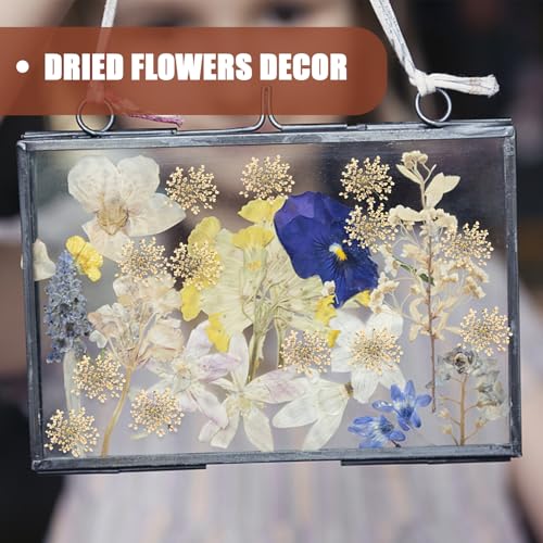 Flores secas artesanales GARVALON 48 piezas blancas prensadas miniatura 6