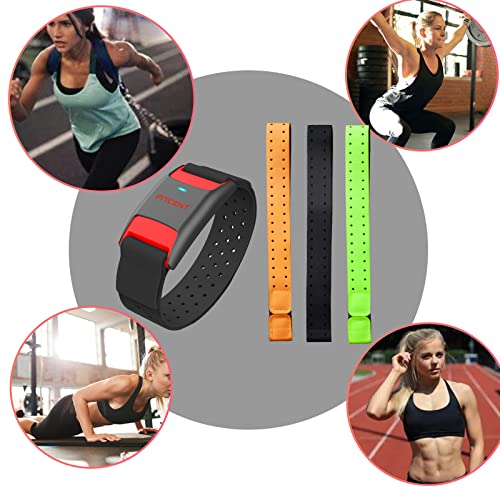 3Pcs Replacement Heart Rate Monitor Armband Straps Compatible With Otf, Otf Burn, Orange Theory Fitness, Ot Beat Heart Rate Sensor #TOP5