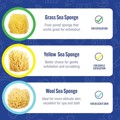 Image of Baby Buddy Baby Bath 4in Yellow Sea Sponge, Absorbent Natural Sea Sponge, Soft on Tender Skin, Biodegradable, Hypoallergenic, Bath Accessories for Bathing, 3 Pack