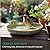 Navaris Outdoor Ceramic Bird Bath Bowl - Frost Resistant with Spacious 25cm (9.8") Diameter - Attractive Bird Bath for Garden with Elegant Bird Print Design