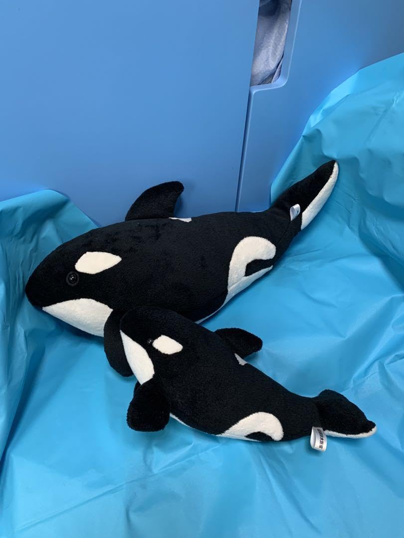 Amazon.co.jp: 最後の出品 ????名古屋港水族館シャチのクーちゃん