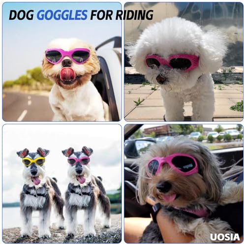 UOSIA 2 Pcs Pet Óculos De Sol E Capacete Set Cão Capacete De Bicicleta Com Buracos De Orelha E Corre