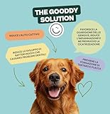 Zoom IMG-1 gooddy cura dentale per cani Zoom IMG-1 gooddy cura dentale per cani