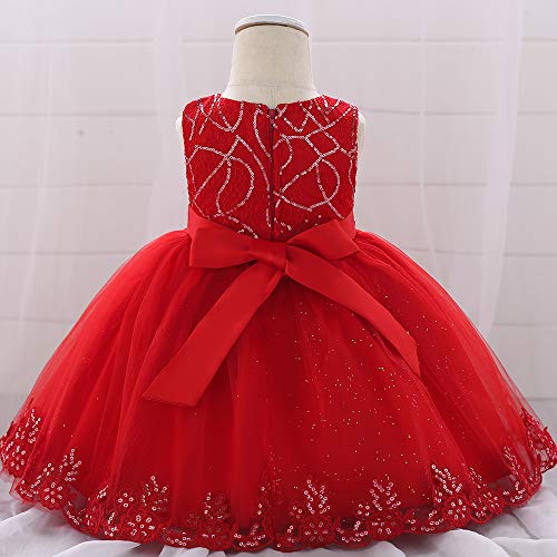 Image of Baby Toddler Lace Dress Girls First Baptism Elegant Embroidery Party Flower Bridesmaid Dresses Up