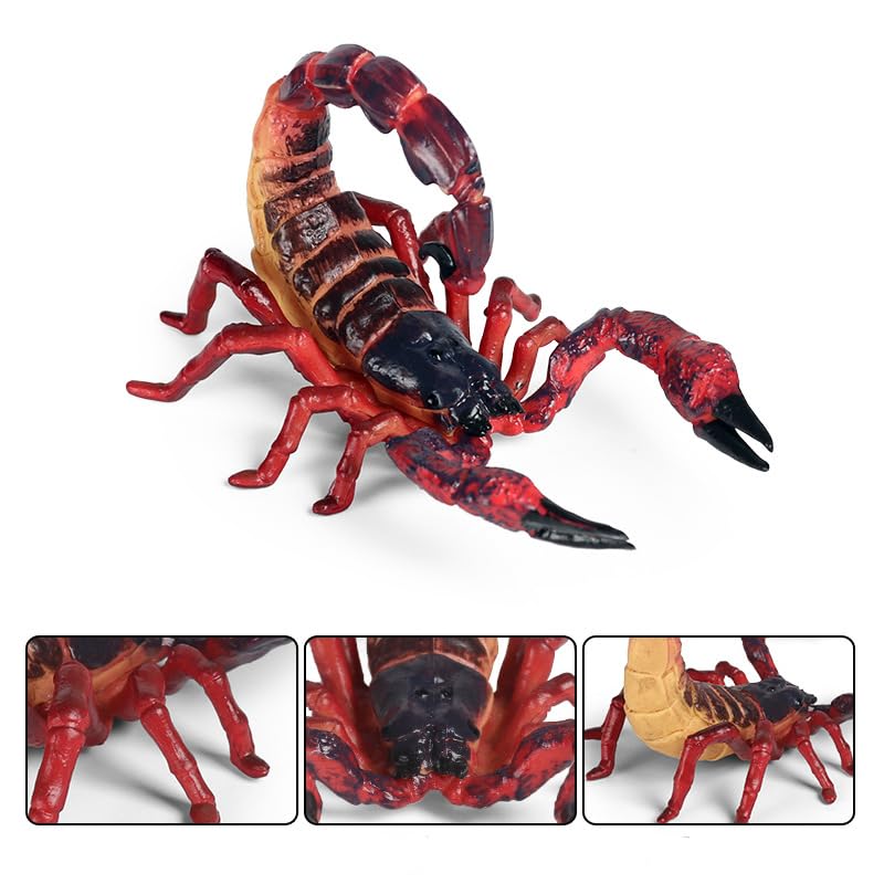 Amazon.co.jp: titihuirie サソリフィギュア リアルなプラスチック