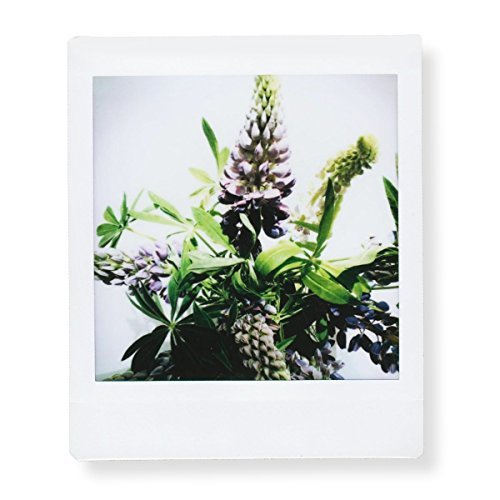 Fujifilm Square Instant Film 10 Pack (100 Exposures) For Sq1, Sq6 & Sq10 Cameras (5 Items) #TOP4