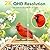 PeckCam® Bird Feeder with Camera - 4MP 2K Live AI Bird Species Identification Instant Arrival Alerts - Smart Cameras Birds Feeders Solar Powered Birdwatching Gift for Birdlover Mom Dad, 2.4GHz WiFi