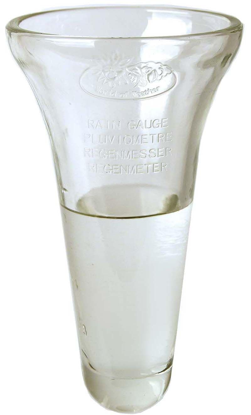 Esschert Regenmesser Zink