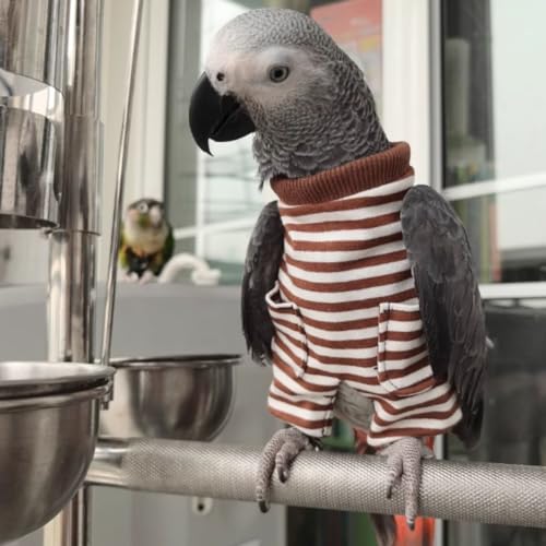 Fantasia de aniversário de festa de Natal de pano de pássaro para arara cacatua africana conure calo