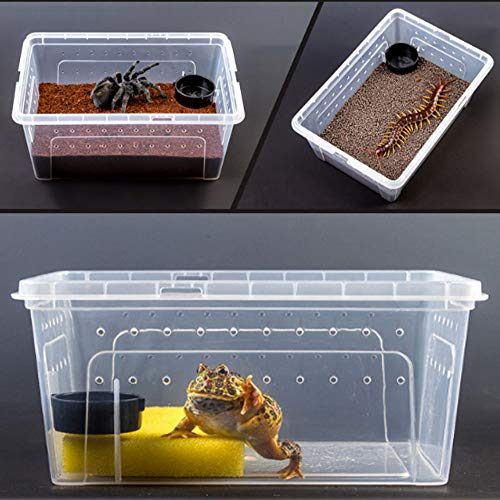 Hamiledyi 2 Pcs Reptile Small Snake Feeding Box Lizard Tarantula Habitat Cage Hatching Container Transparent Portable Plastic Mini Pet Houses For Scorpion Spider Frog thumb #1