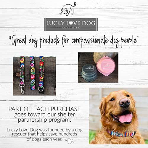 Lucky Love Dog Wide Martingale Collar (Large, Primrose) #TOP5