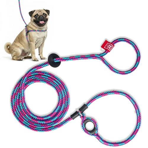 Image of Harness Lead No Pull Dog Harness and Leash Set, Anti Pull Dog Harness, One-Piece Cushioned Rope Safely Prevents Escaping and Pulling (Small /Medium, Reef)