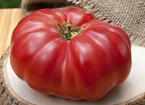 Mortgage Lifter Heirloom Beefsteak Tomato Premium Seeds for Planting Packet