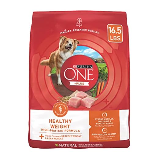 Purina ONE Plus Healthy Weight High-Protein Dog Food Dry Formula - 16.5 lb. Bag
